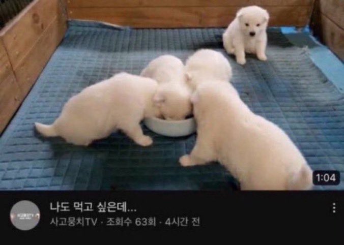 Bewareddongdog's tweet photo. 아 김민재 너무 신경쓰여ㅜㅜ https://t.co/RcykYIcUmc