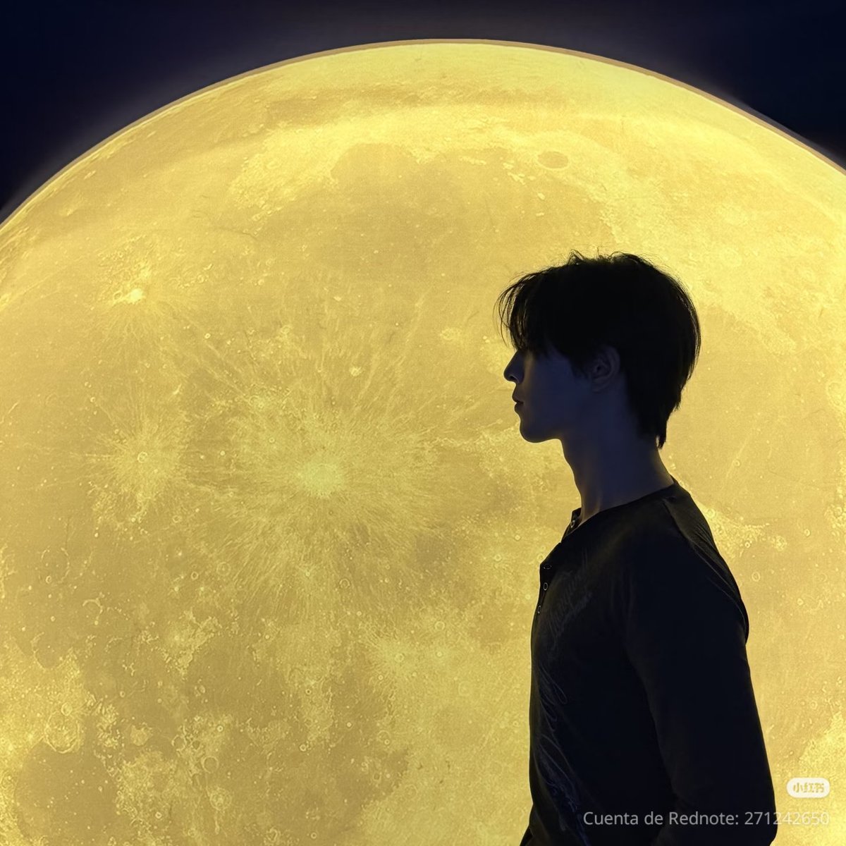 qiuwifey's tweet photo. the little star is so in love of his moon 🥺 https://t.co/J66LI3YgSs