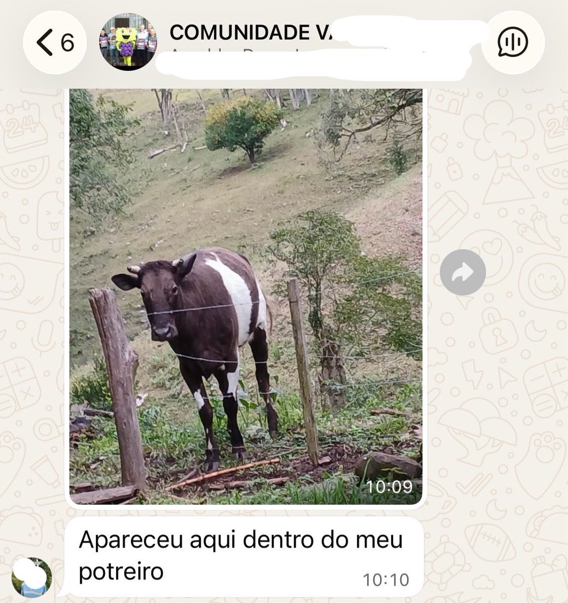 starhooman's tweet photo. amo demais o grupo do condomínio https://t.co/bxhANtZQzV