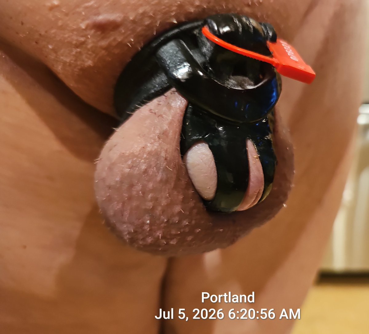 CagedCk's tweet photo. July 5th, No Freedom Day, permanently! This is my Tinie Pinie excited and as big as it gets in the tiny @BlackoutDevices EVO2024!
#PermanentChastity https://t.co/ERNuH2PiGw