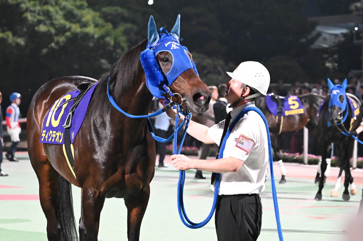 otembapan's tweet photo. 2026.7.1 帝王賞
荒山厩舎の2頭🐴🐴 https://t.co/vM9LVQjr3x