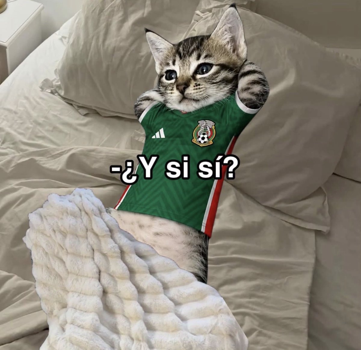 Guarromantico_'s tweet photo. Nadie:
Yo desde las 6am: https://t.co/N0VQrKvyc4