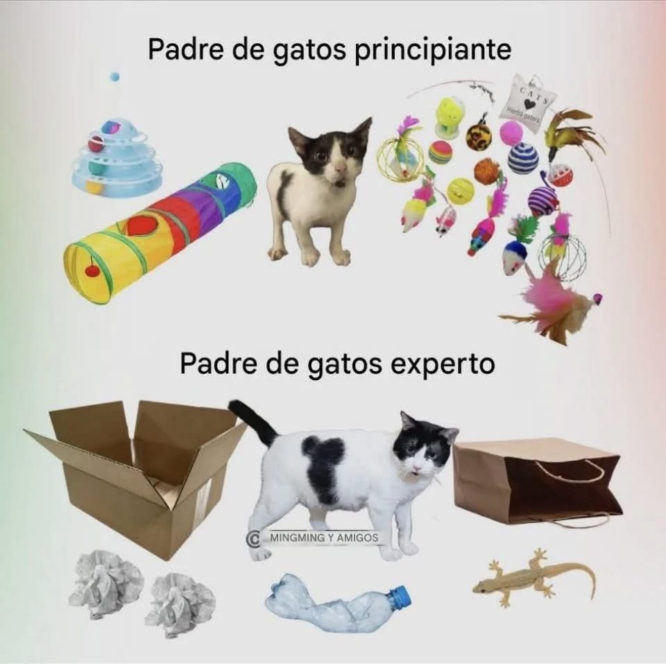 ymuchosmemes's tweet photo. Esto es así https://t.co/GAahfo1acY