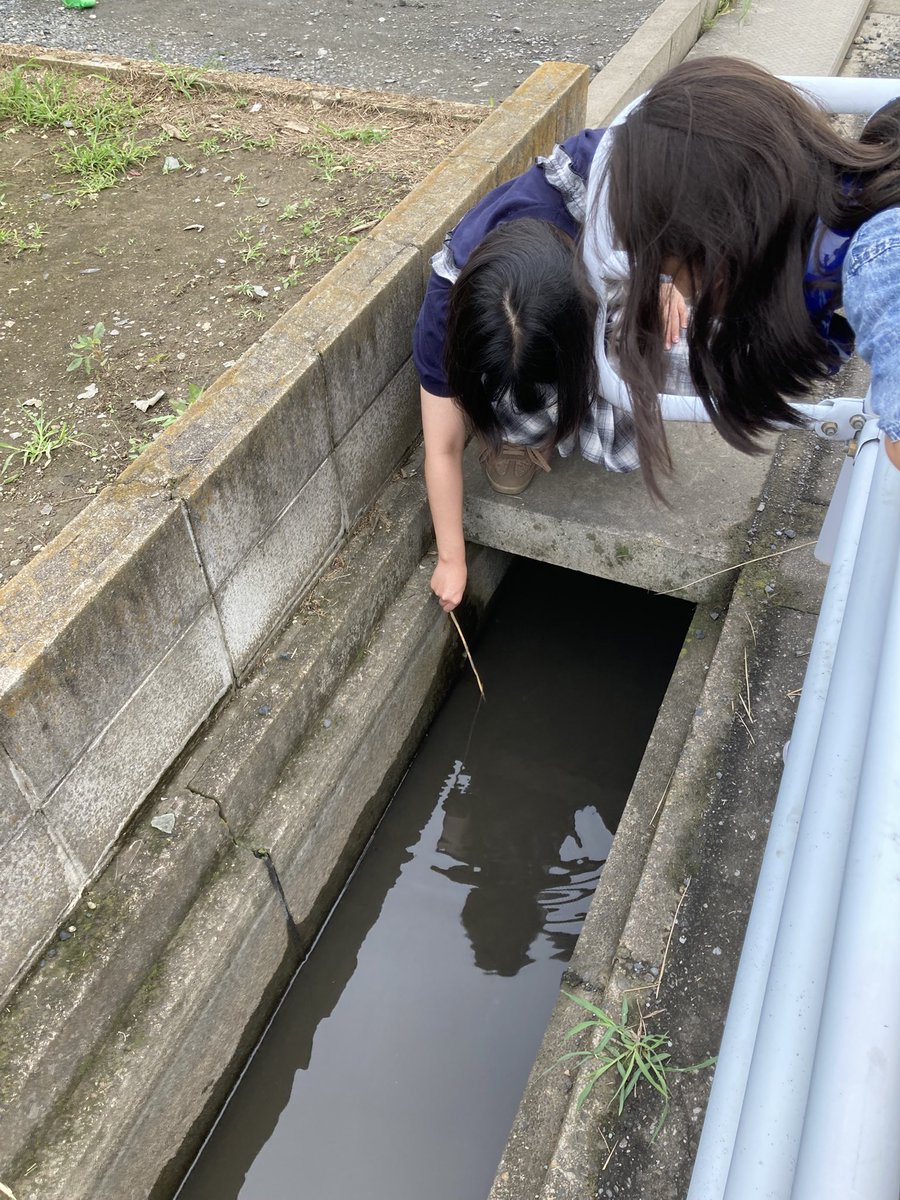 yu37550908's tweet photo. ザリガニ釣りに夢中になるとか笑
え？貴方達女性ですよね？ https://t.co/ZVvT28yP3F