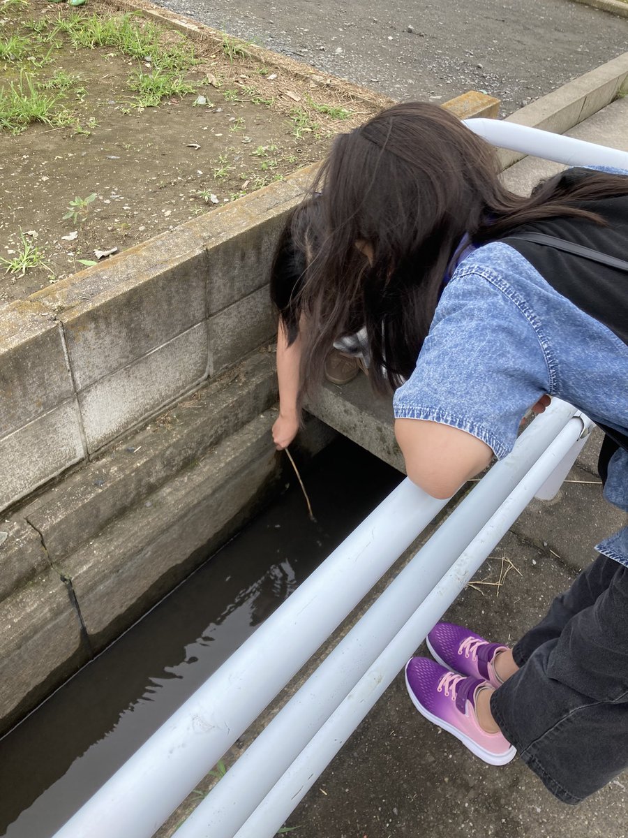 yu37550908's tweet photo. ザリガニ釣りに夢中になるとか笑
え？貴方達女性ですよね？ https://t.co/ZVvT28yP3F