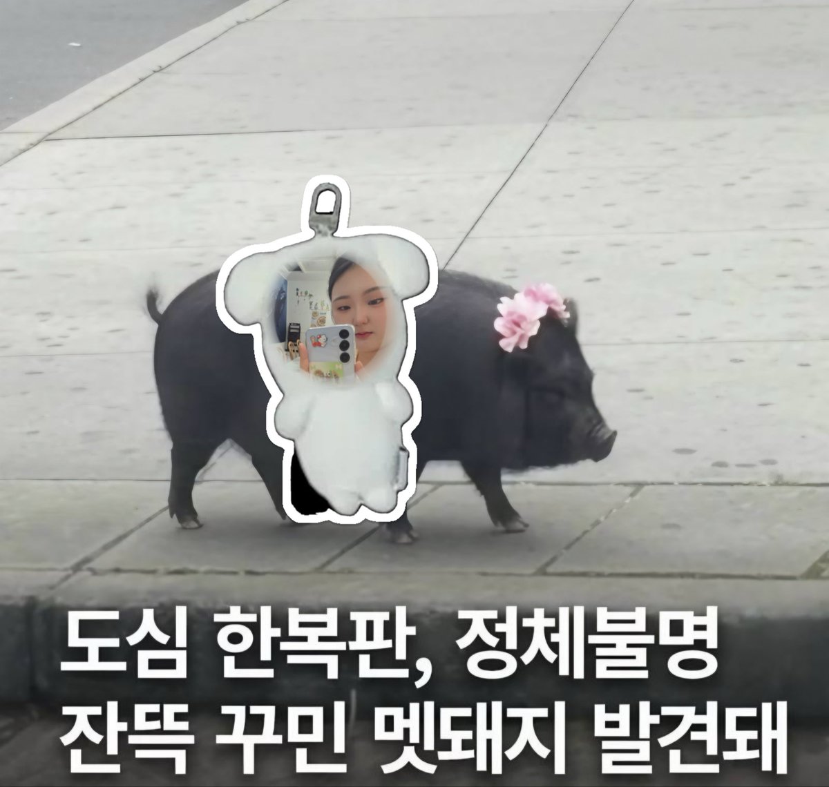 stpdsz's tweet photo. 정병 발사아아아 https://t.co/nZONOFmzl4