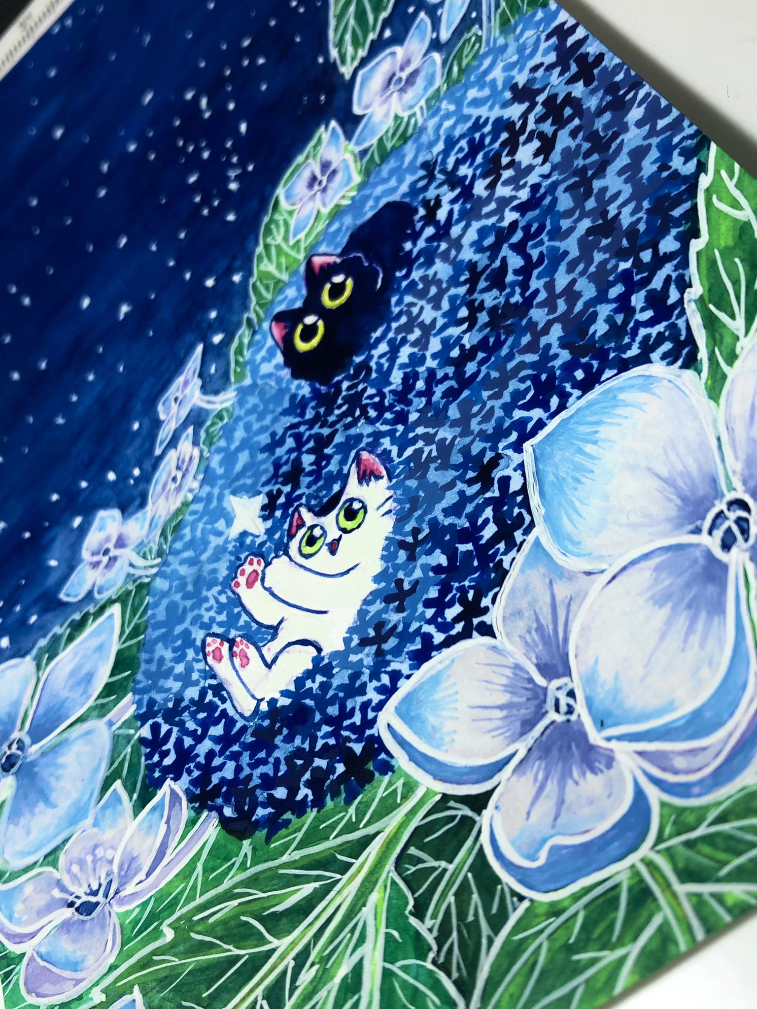ねこ川いが里 on X: 