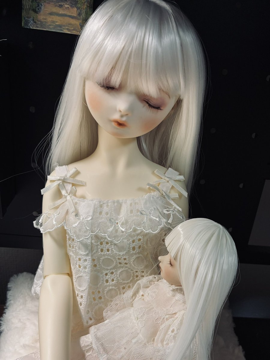 sirnumk's tweet photo. うちの眠り目花容と夢路   とってもかわいい https://t.co/s9wY1AbpKt