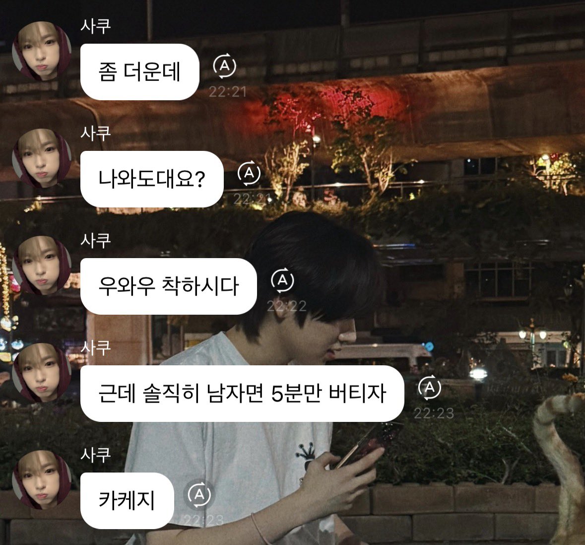 감귤 tweet media