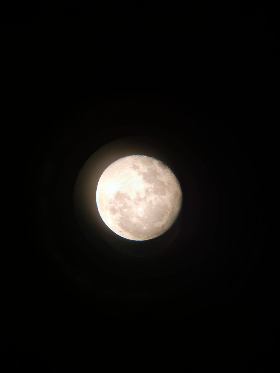 LentLilly0's tweet photo. https://t.co/NaspaP4sme
