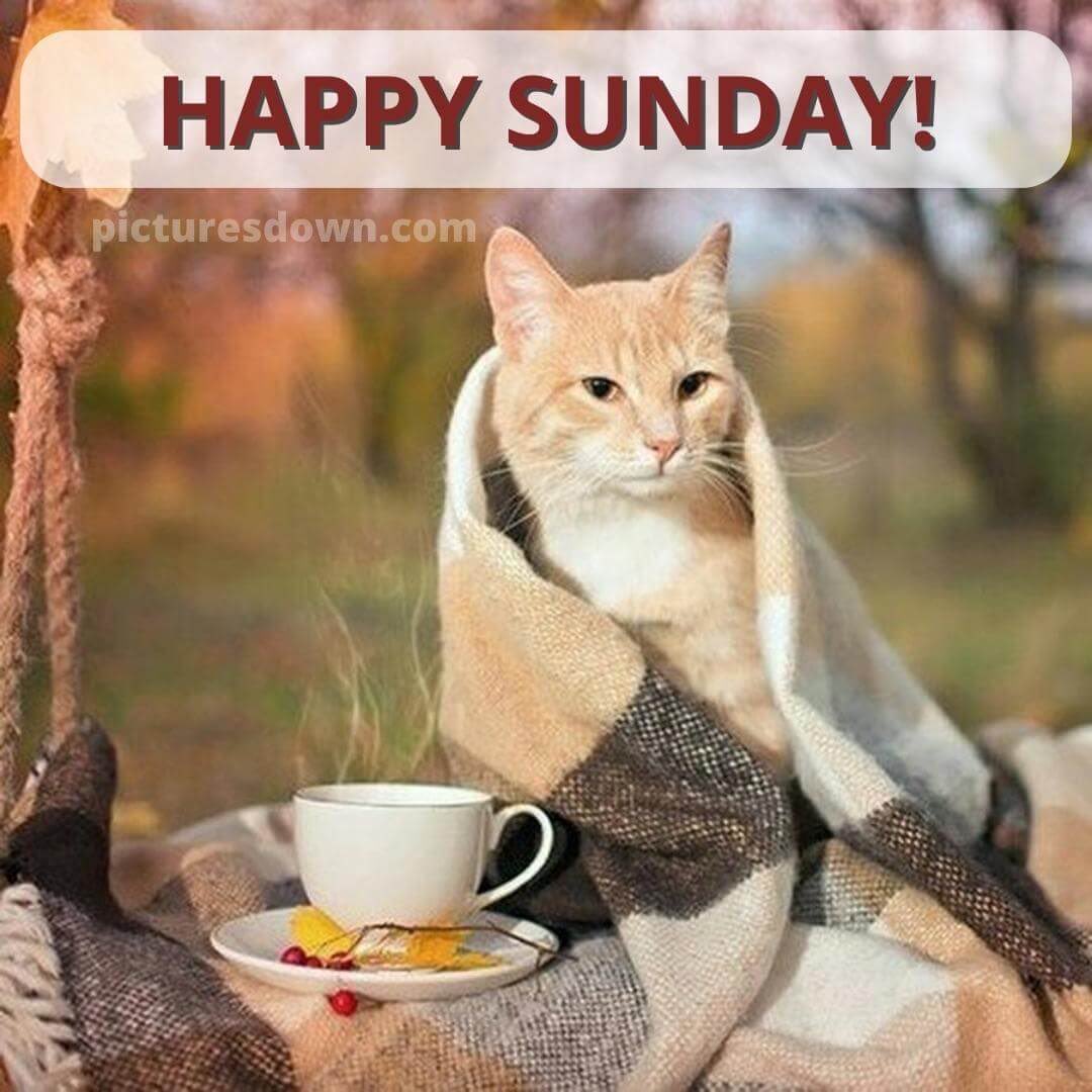 PeopleEater333's tweet photo. @MacCleod Morning my friend ☕️🤘🏻🌈🌸🌼
Wishing u a quiet day with great coffee to help u wake up ☕️🪻🌷🌹🍀🤪 https://t.co/1U9rFH1Wch