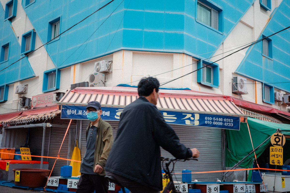 byhusani's tweet photo. Anyways have some pictures I took in South Korea for your Sunday https://t.co/GRcEb4Gkj7