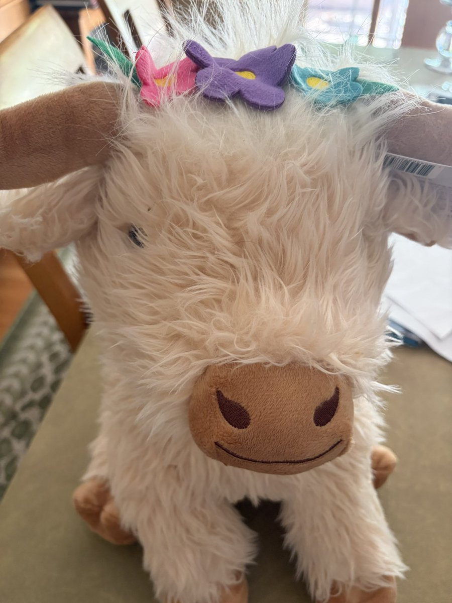 joannap75's tweet photo. @DoodleNessa Hallo from your Highland cousin. It was Bella’s, still has the price tag. https://t.co/TvBNvBWWhY