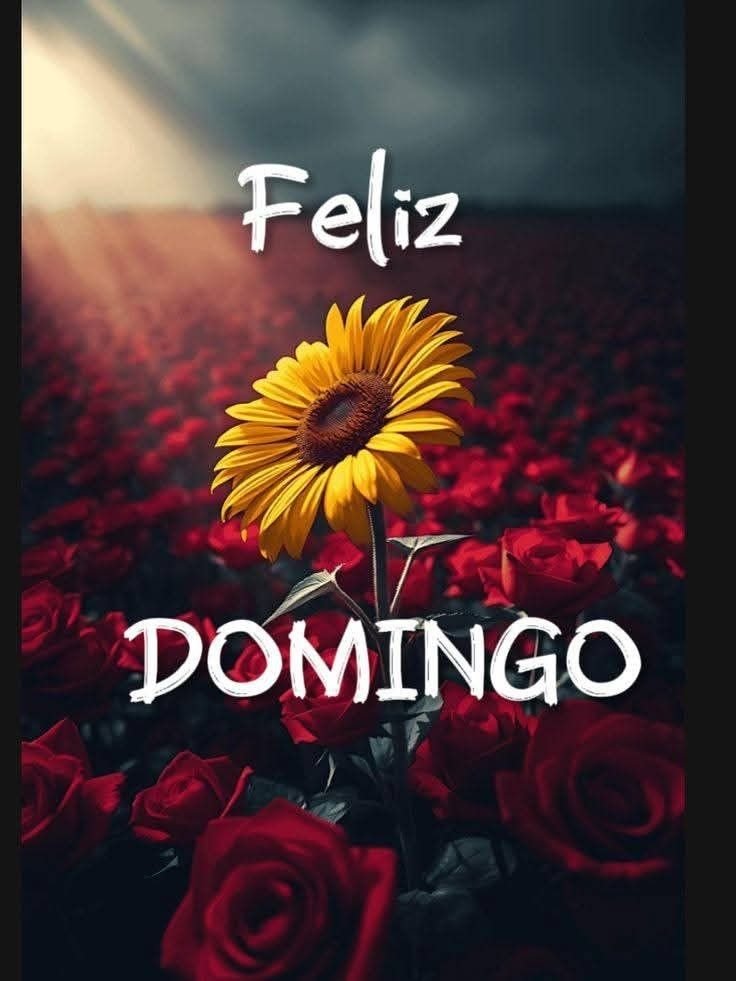 PilarParadasP's tweet photo. Buenos días mis #XFriends #TwitterFriends
Que el buen Dios bendiga a cada uno de ustedes.
Pasen un #FelizDomingo https://t.co/FK7UuQDkud