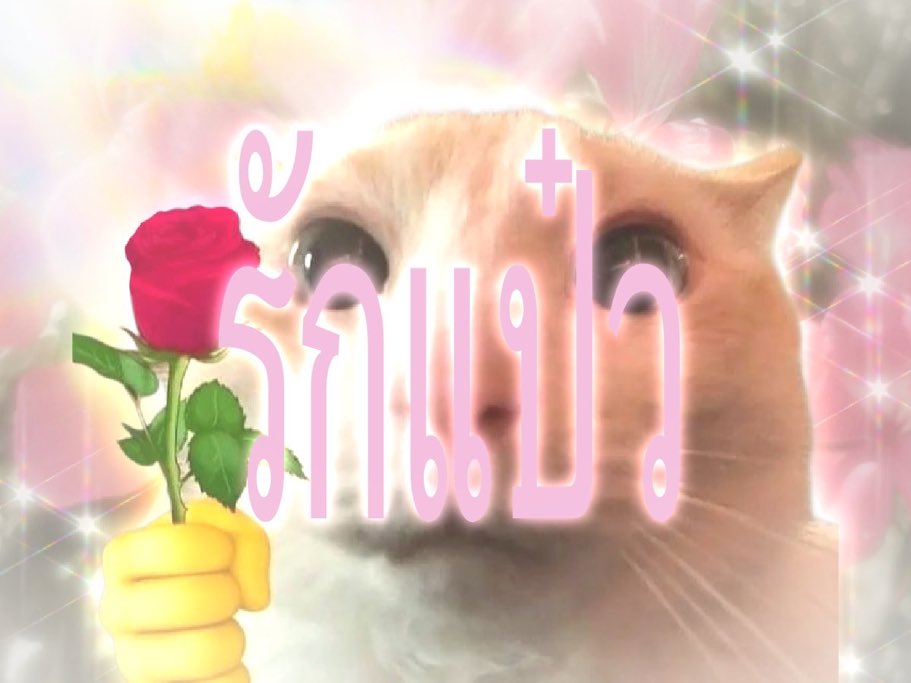 กาเบม tweet media
