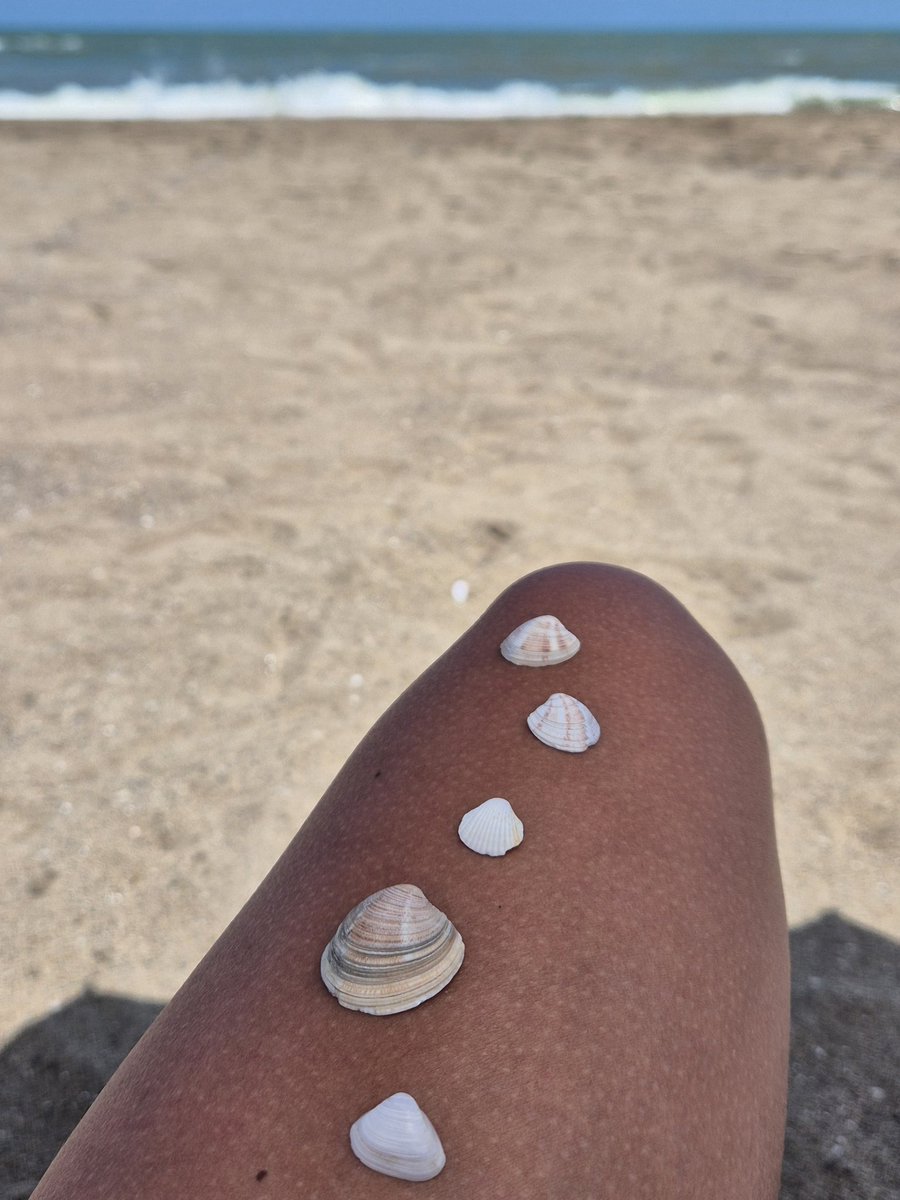 nazlicyy's tweet photo. summer core https://t.co/VETMSqX4zc