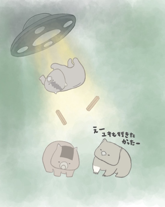 won02929's tweet photo. 🐻🛸
#ふくちゃん https://t.co/NEdDJvBad8