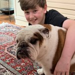 Photo by Cleopatra the English Bulldog (@Catsemail)