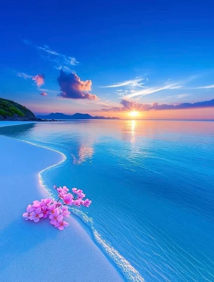 dany_grazia's tweet photo. Isn't that beautiful? 💙 https://t.co/fGFSdDjEgP