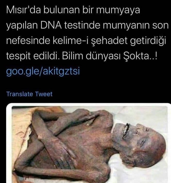 totemcihaluk's tweet photo. Yalancıyı s2kme yasası çıksa, kucaktan inmezsin ak İT gazatesi.😏 https://t.co/GviBjLmtxK
