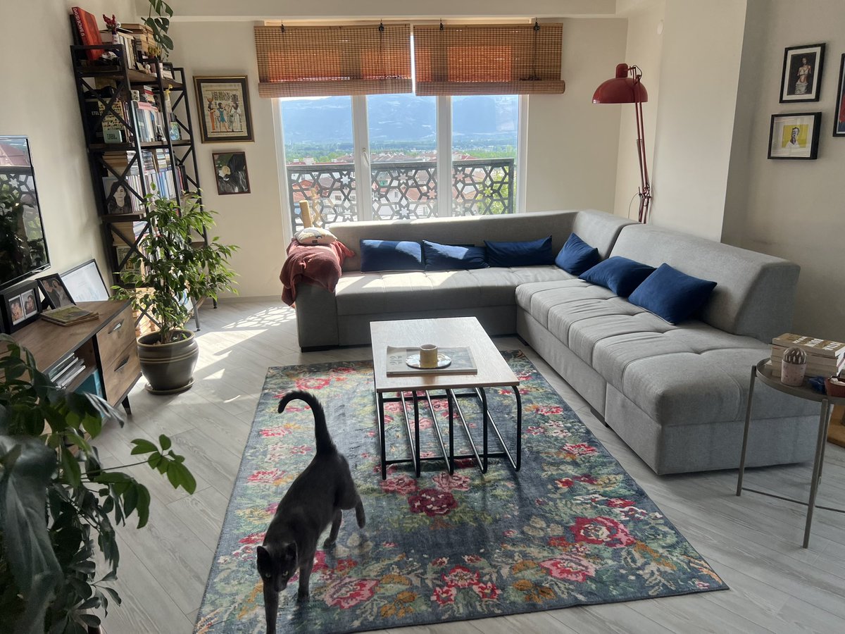 ozgeyagmurr's tweet photo. Apartment of a 32 year old woman https://t.co/qyeig0Suaz