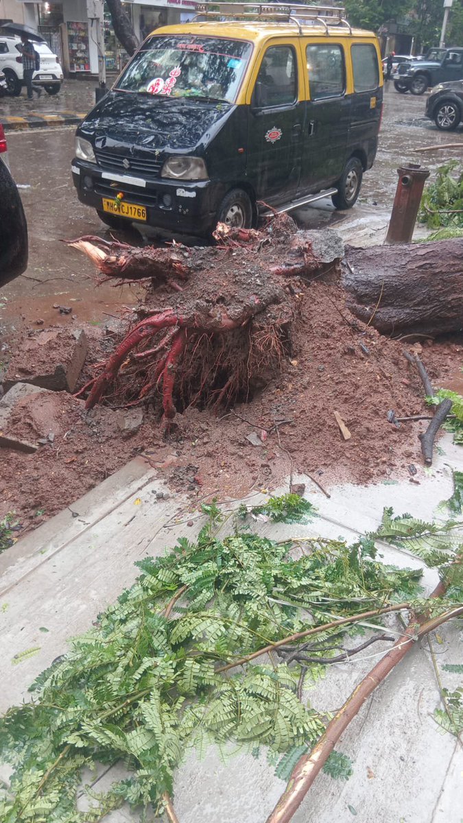 anmopra's tweet photo. Large tree has fallen on junction of Napoo road &amp; Deodhar Road near Manis Cafe Matunga,completely blocking the road on one side. It is causing a severe traffic hazard and risks injuring commuters.pls get this cleared.
​@mybmc @mybmcWardFN @MumbaiPolice @DisasterMgmtBMC https://t.co/wszNZqeKIr