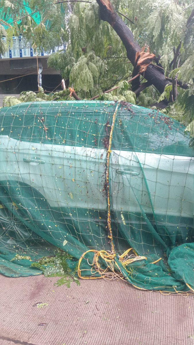 anmopra's tweet photo. Large tree has fallen on junction of Napoo road &amp; Deodhar Road near Manis Cafe Matunga,completely blocking the road on one side. It is causing a severe traffic hazard and risks injuring commuters.pls get this cleared.
​@mybmc @mybmcWardFN @MumbaiPolice @DisasterMgmtBMC https://t.co/wszNZqeKIr