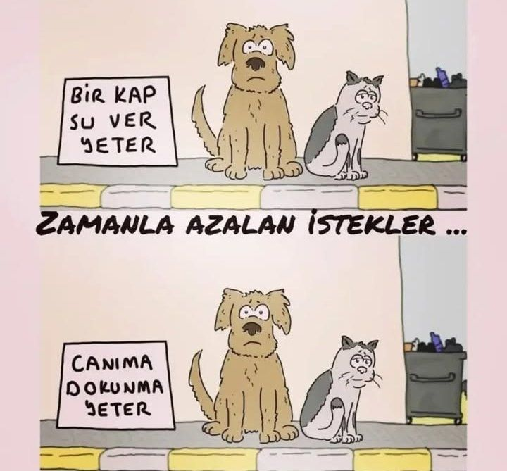 Akinci171717's tweet photo. her yer KATİL ............... https://t.co/DjrpuM6TtY