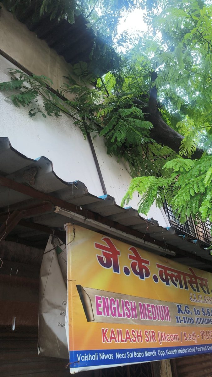 Anil909's tweet photo. घाटकोपर वेस्ट पारसीवाडी बीएमसी स्कूल के सामने जेके क्लासेज के छत पर पेड़ गिरा है तुरंत हटाया जाए ताकि छोटे छोटे बच्चों का नुकसान न हो
@mybmc @mybmcWardN @Dev_Fadnavis @TawdeRitu https://t.co/GfO8ixFuIy