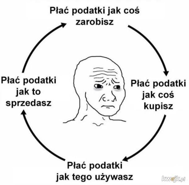 Kari tweet media
