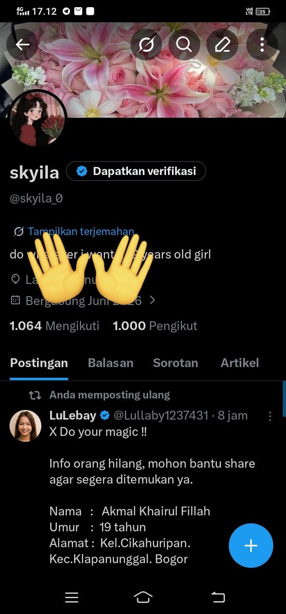skyila tweet media