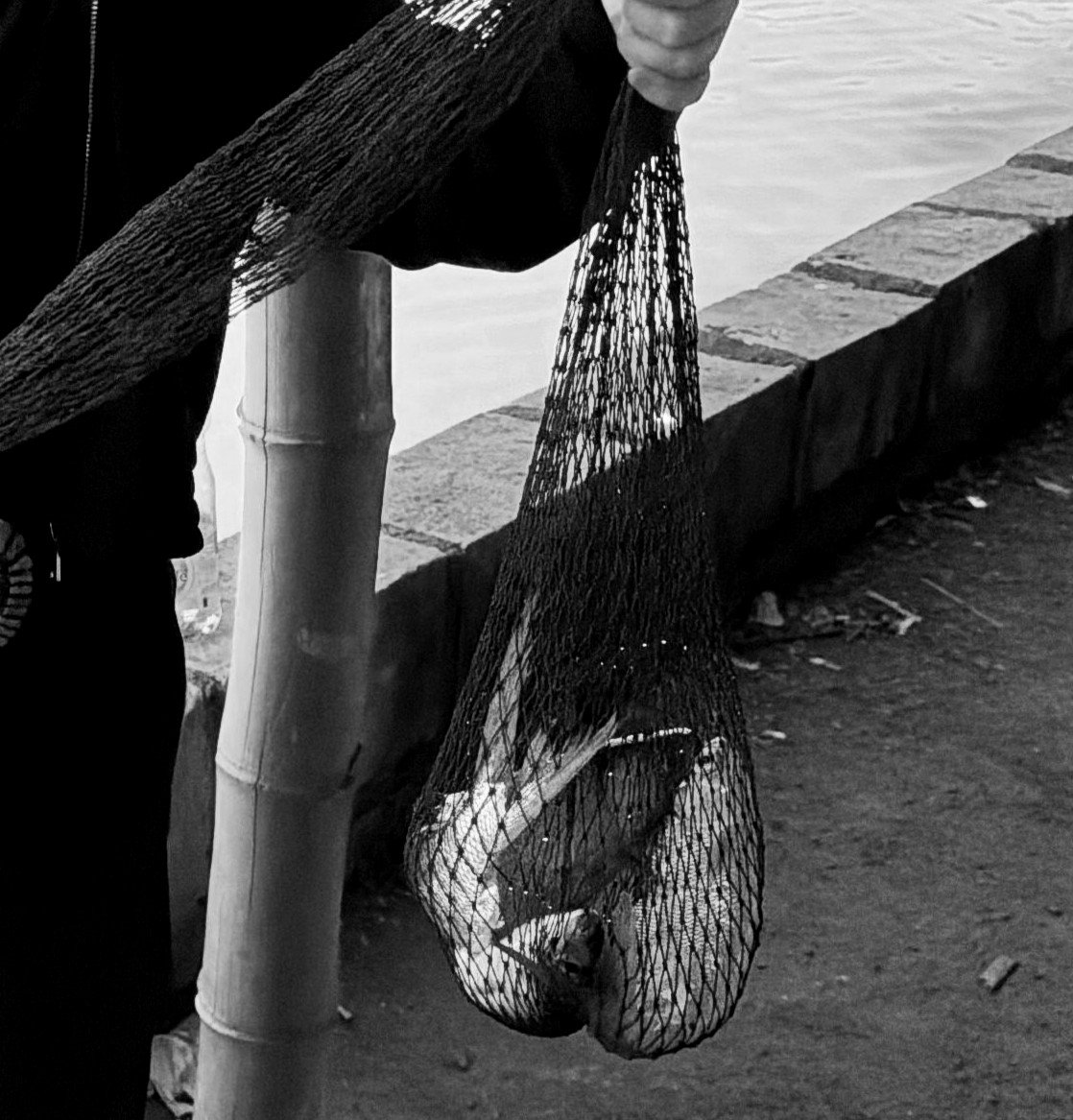 deceivsr's tweet photo. Buat yang gak tau, ini namanya mancing ikan ya. Bukan mancing amarah orang ✌🏻😂 https://t.co/QeAJTpFD79
