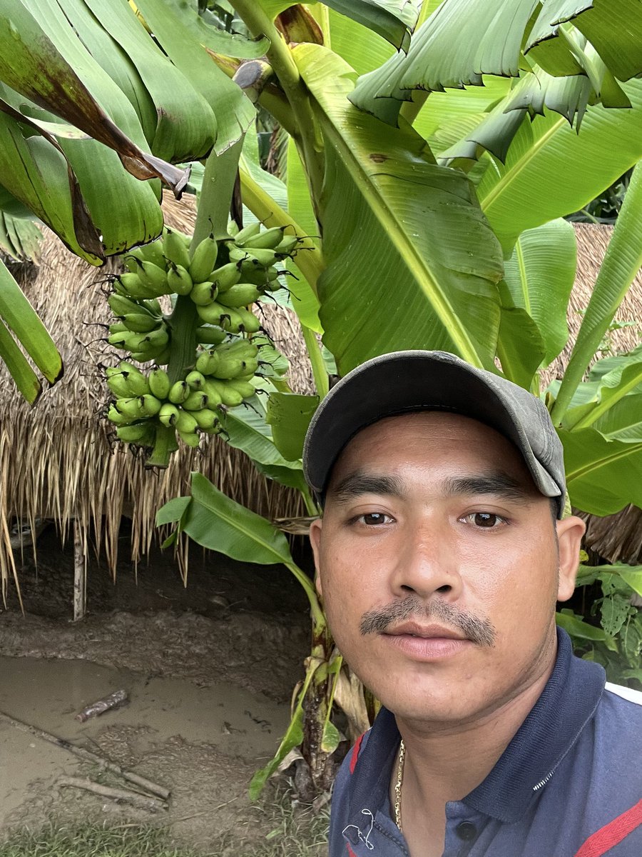 M49972536's tweet photo. ថ្ងៃនេះចេញមករកប្តី អត់យកធំទេ ប៉ុនចេកពងមាន់និងបានហើយ 🤣 https://t.co/CqwzpCs465