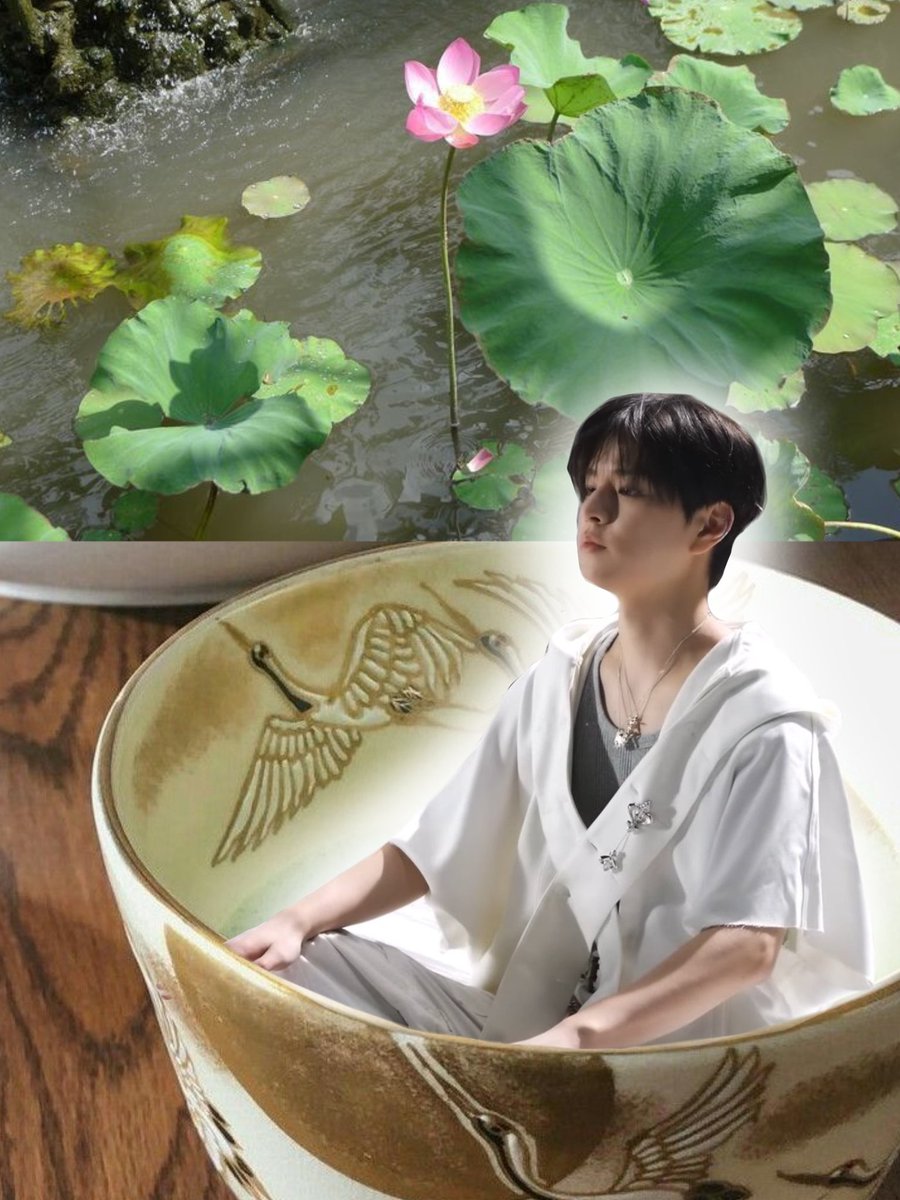 seungautism's tweet photo. ⠀࣪⠀♥︎݄݃ ‧᭮𓈒 ׂ ۫  .⋅ॱ✿ ᩚ.⋅ॱ✿  𝔃𝓮𝓷   🪷 🧘🏻‍♂️🎋 https://t.co/QAUFGiDdew