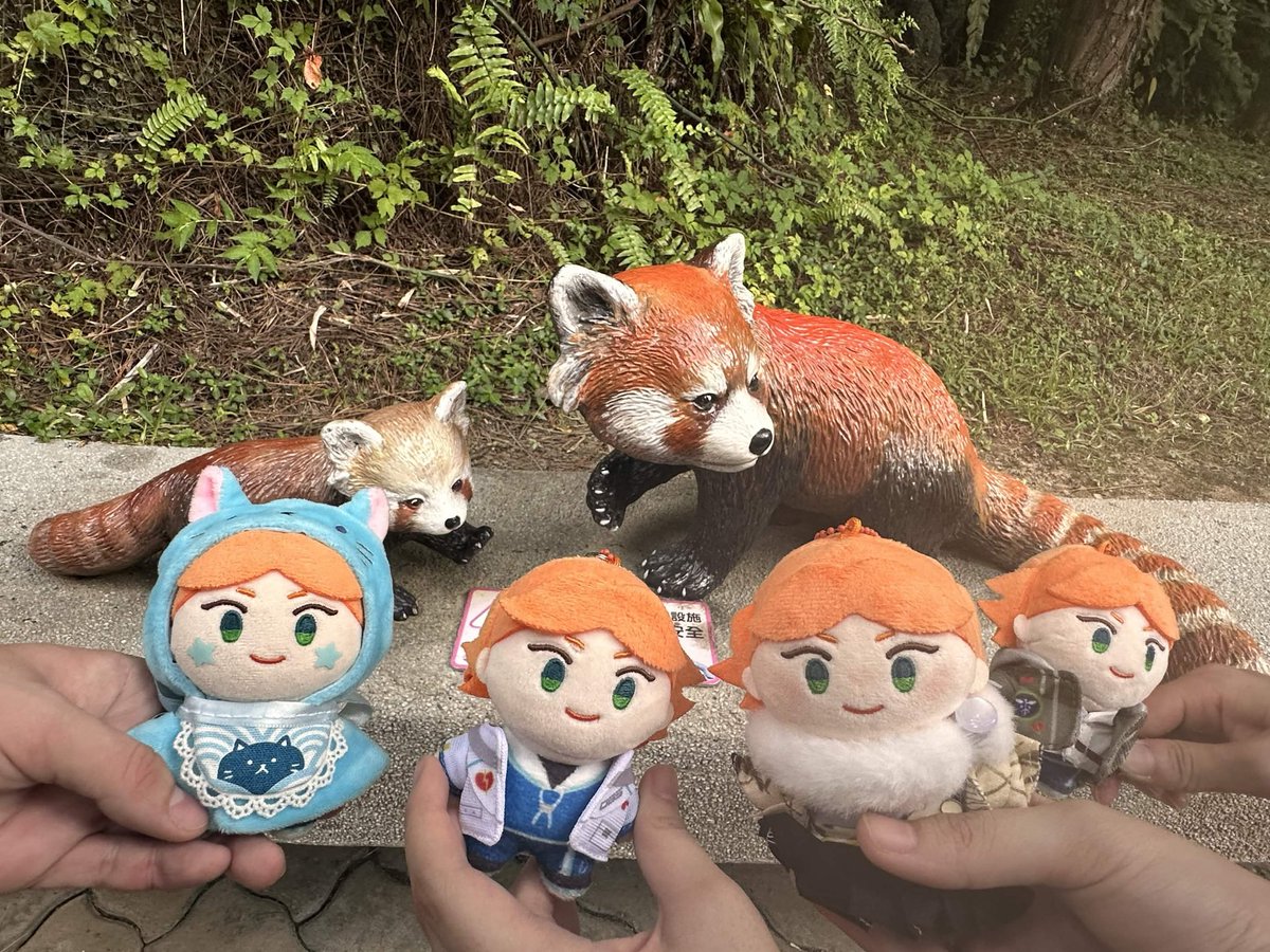 J3553lin's tweet photo. #吃喝萬樂 
跟粉肝去動物園先探勘地形
剛好遇到動物朋友見面會
感謝可愛的樹蛙，讓把邁有快樂合影~ https://t.co/N94aO8GmGm