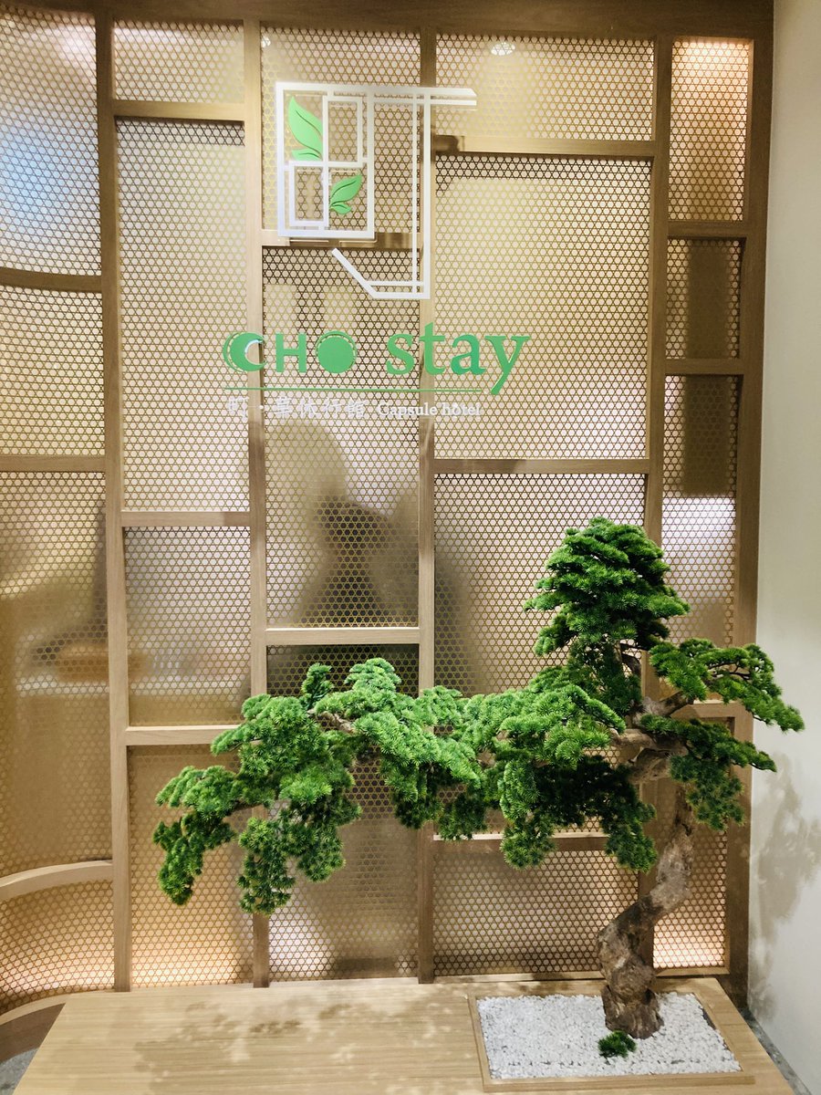 peccchi's tweet photo. 台湾トランジットは、空港のカプセルホテルCho Stay🛏️を利用
部屋のみんなマナー良くて神経質気味な私もぐっすり💤
シャワー・洗面台の数が少ないので早めの利用がポイント☝️
水回りはお掃除タイム🧹がこまめにあり清潔安心✨
ホテル前のフードコートの座席が開放されてて飲食＆おしゃべりスペースに😇 https://t.co/xqRPK1D8Dc
