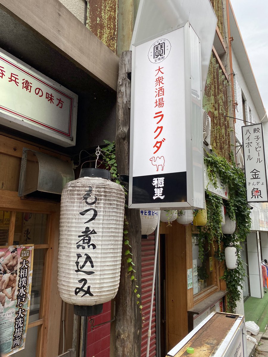 daigoujiga's tweet photo. 大衆酒場ラクダにて！
#水戸市
#水戸居酒屋
#大衆酒場ラクダ https://t.co/XA2feyQb6G