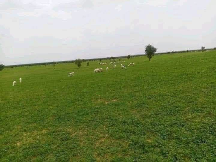 MoktarNimche's tweet photo. حد اوعد لعيون افلخريف
والبوادي وخيـــام الجيف
في البوادي وحظرفي انزيف
اسحايب لعيــون إمْصَبَـه https://t.co/DwzVNVXIDW