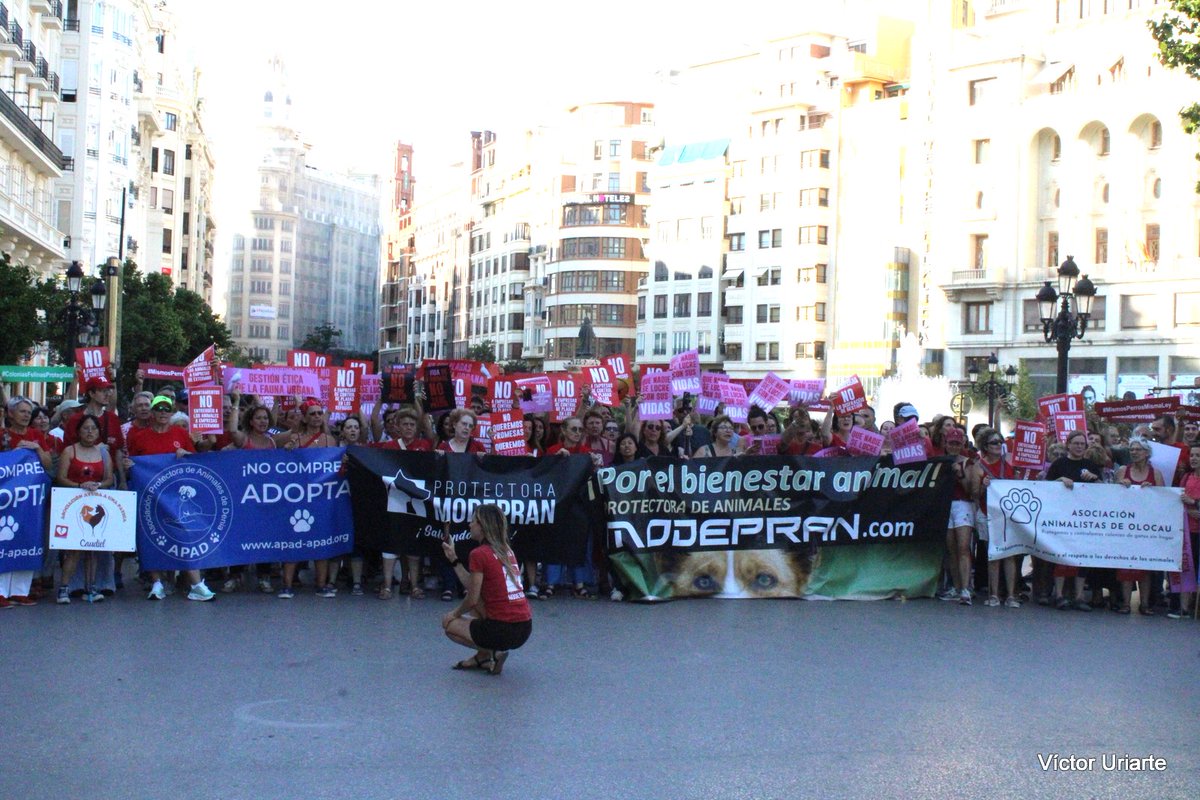 esquerraunida's tweet photo. Ahir vam eixir als carrers de València per a alçar el crit pels animals enfront dels qui volen que siguen un negoci. https://t.co/ziYRxtbflt