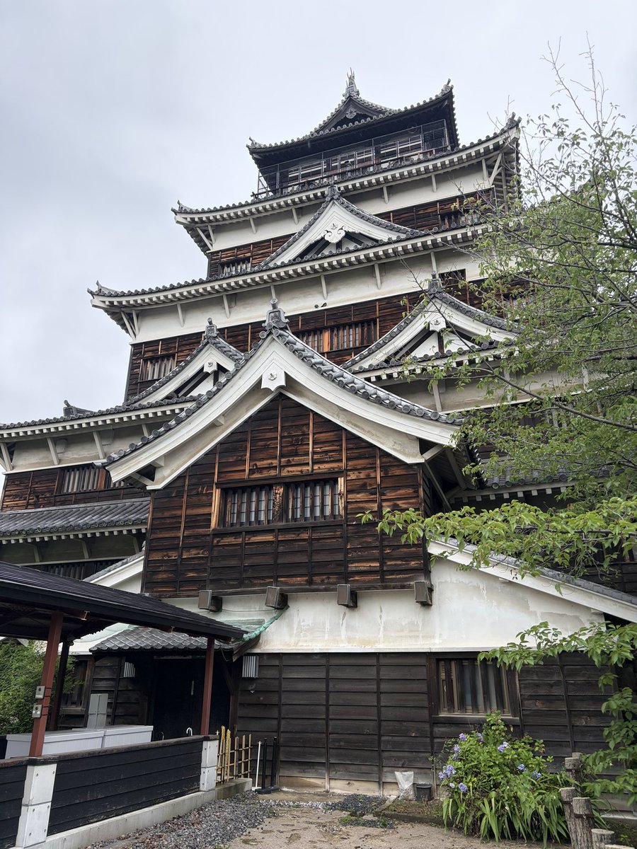 outdoorbon's tweet photo. 広島城😊 https://t.co/A357DmzsDa