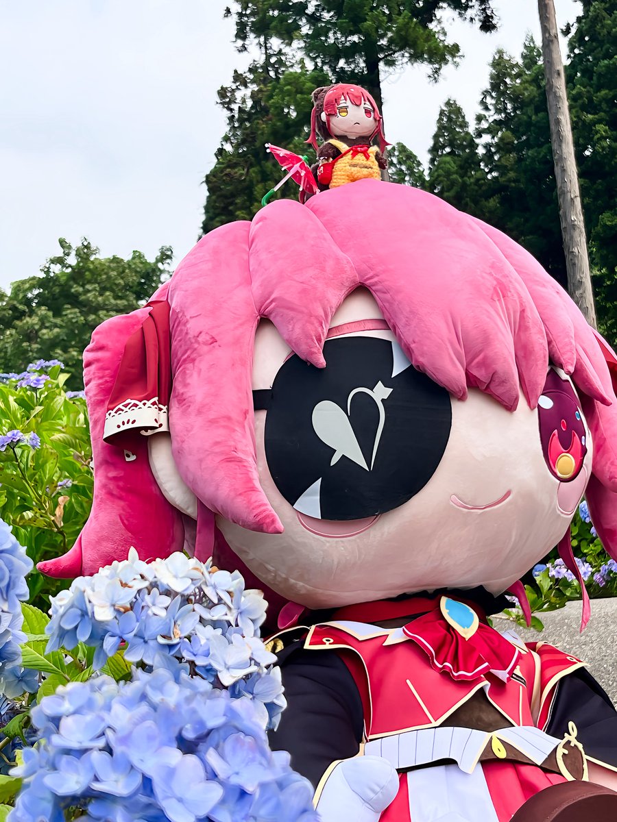 昨日長岡にある国営越後丘陵公園にて 紫陽花祭りやっててぬい撮りして