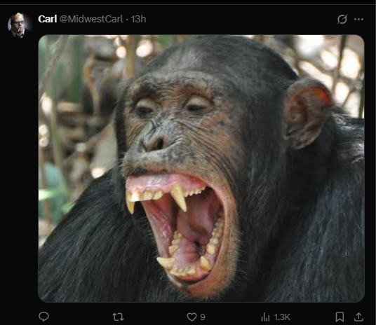 thenarrativedev's tweet photo. Gout Gout is getting MEME'D so hard for how he poses after winning races

PEOPLE are spamming chimp in the comments

over 800k views

he's one of the worlds fastest 100M sprinter people say he will be soon faster then Usain Bolt

tweet:https://t.co/bphs8Hv7YA

another 400k views post:https://t.co/eoifFqHDt1