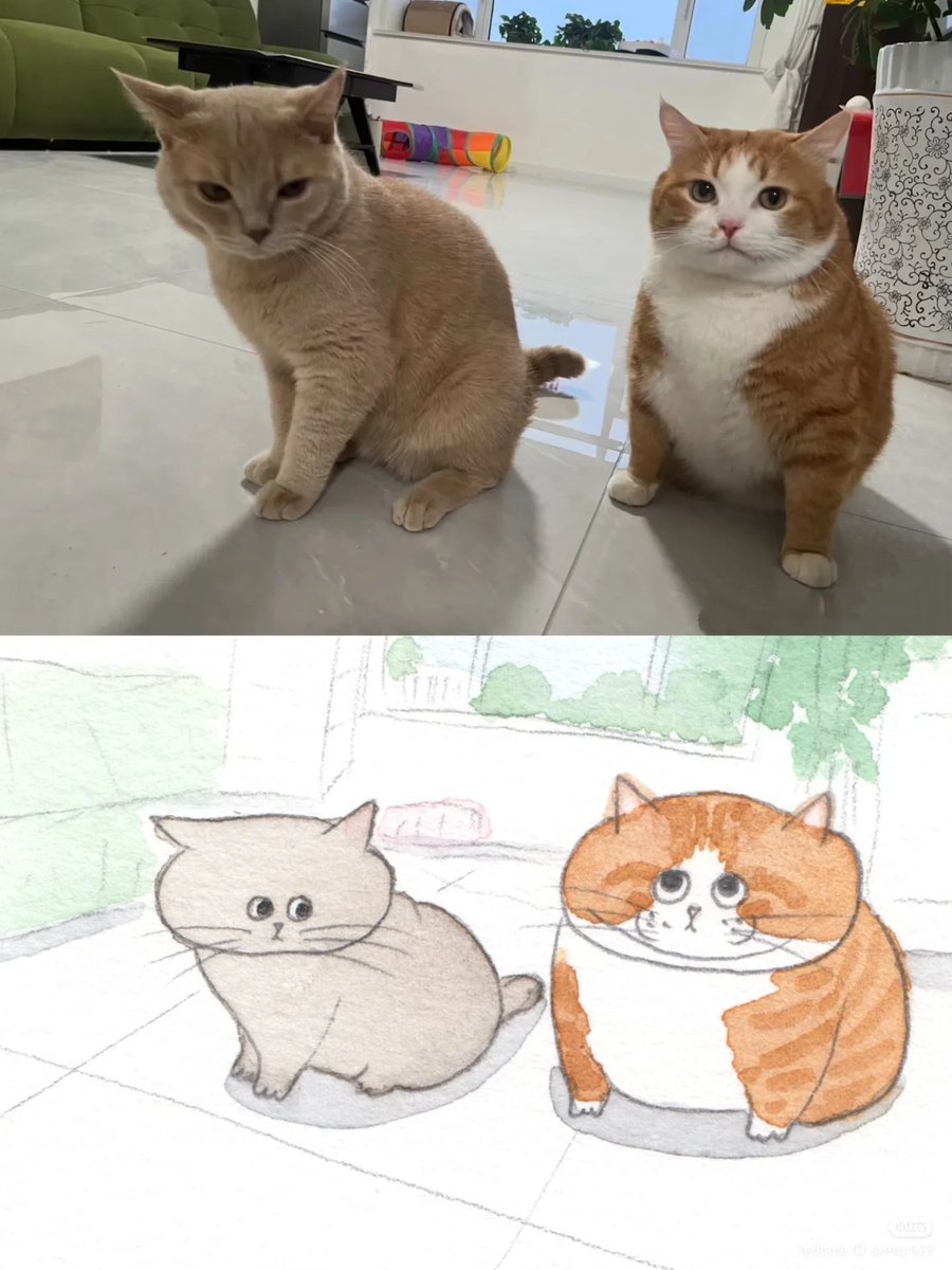 nocontextscats's tweet photo. Cuties https://t.co/mGE0Wr9Iqj