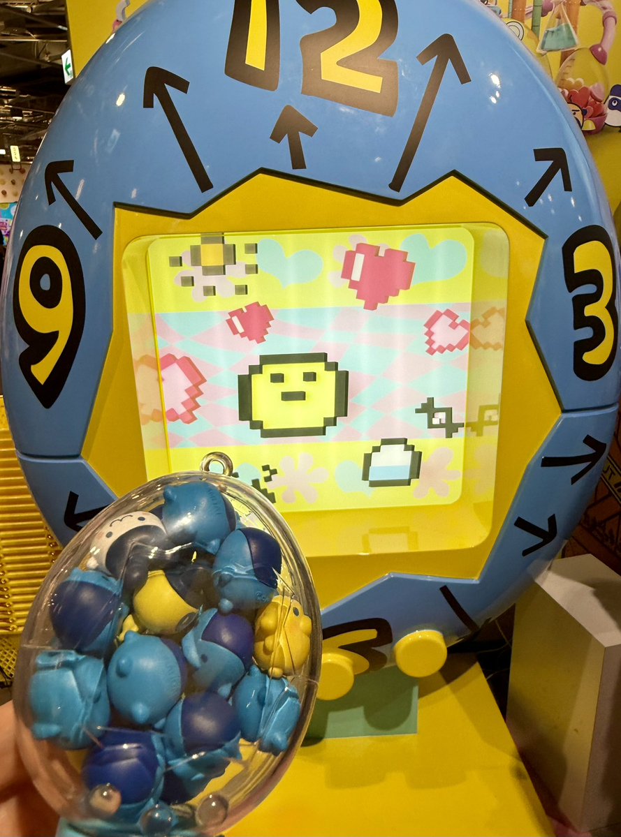 __ham3's tweet photo. ぎんじろっちいっぱい詰め詰めした！
みんな後ろ向きだから前向きになって！！笑 https://t.co/3vjILLwDRB