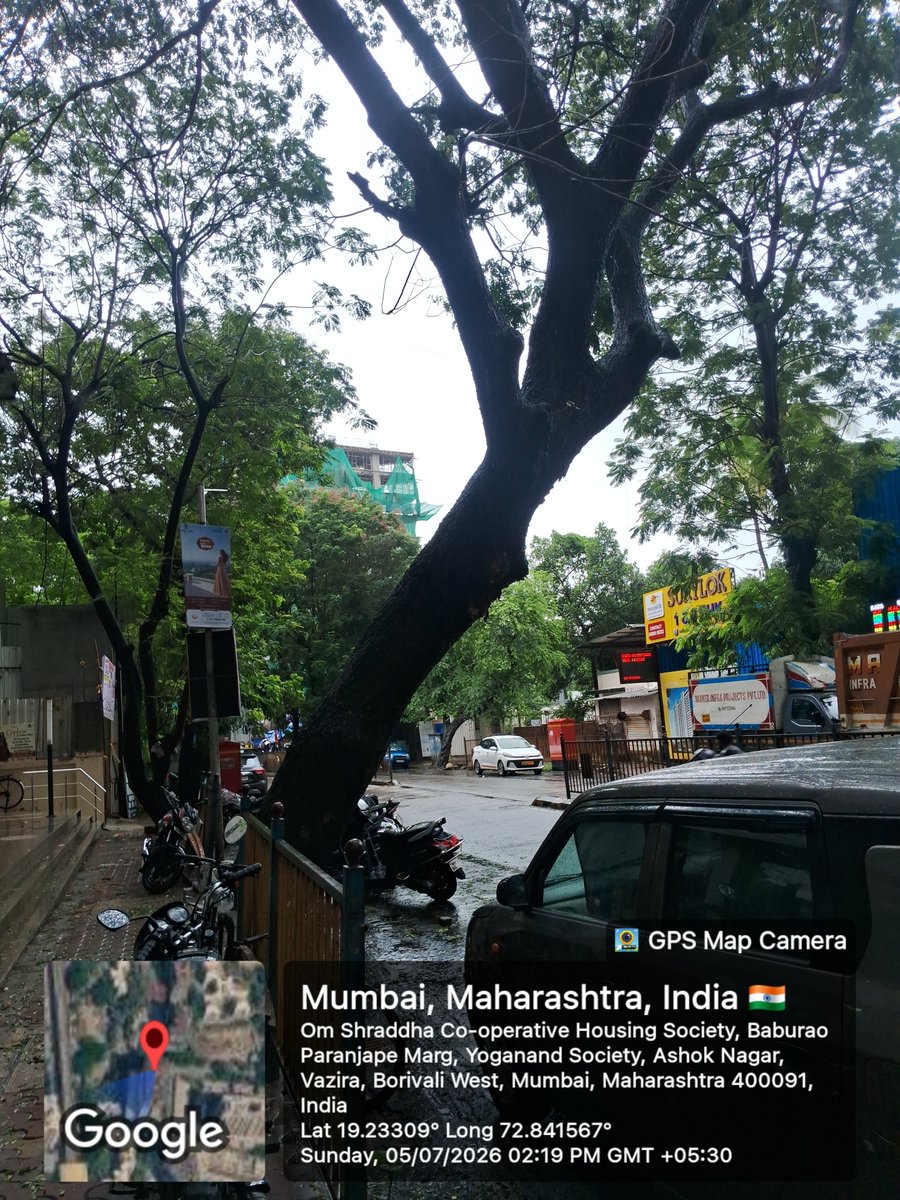 SurendraDShinde's tweet photo. @mybmc @mybmcWardRC  
महोदय,
सदर झाड हे ४५॰ ला वाकलेले आहे. पावसाळ्यात कदाचित पडून मोठा अपघात होऊ शकतो. पालिकेने याकडे लक्ष देऊन आपल्यापरीने काय तो योग्य निर्णय घ्यावा. पत्ता: ओम श्रध्दा सोसायटीसमोर, जयराज नगर, ऑफ लिंक रोड, बोरीवली प.
सुरेंद्र शिंदे
उपविभागप्रमुख
शिवसेना🏹 https://t.co/sDPSqhYLeE