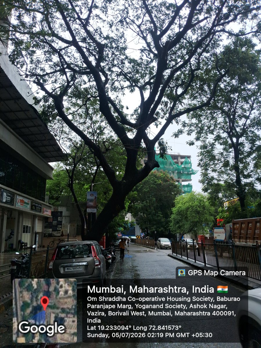 SurendraDShinde's tweet photo. @mybmc @mybmcWardRC  
महोदय,
सदर झाड हे ४५॰ ला वाकलेले आहे. पावसाळ्यात कदाचित पडून मोठा अपघात होऊ शकतो. पालिकेने याकडे लक्ष देऊन आपल्यापरीने काय तो योग्य निर्णय घ्यावा. पत्ता: ओम श्रध्दा सोसायटीसमोर, जयराज नगर, ऑफ लिंक रोड, बोरीवली प.
सुरेंद्र शिंदे
उपविभागप्रमुख
शिवसेना🏹 https://t.co/sDPSqhYLeE