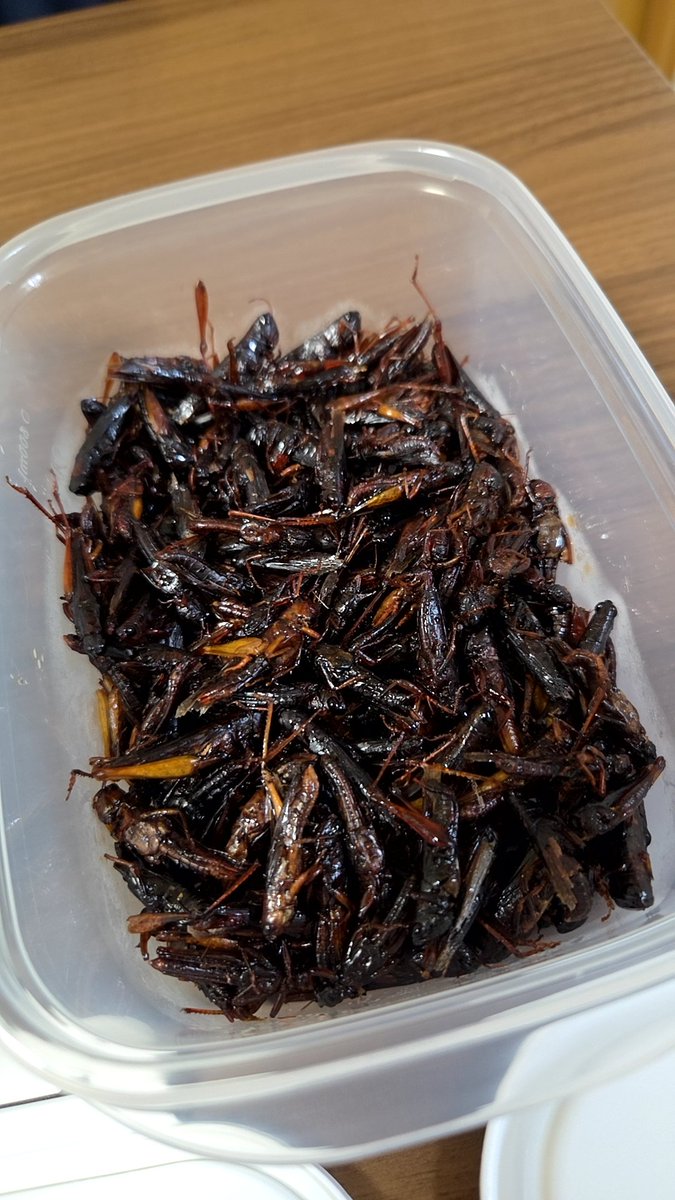 MyWay830Rock's tweet photo. イナゴ🦗
ネギとか椎茸とか牛タンとか食えない好き嫌い満載の嫁が買ったやつ🤣

これいけるならキノコ🍄とかもいけるべ🤣🤣🤣

30年ぶりくらいに食べた💫
つまみに食うのはいいけど弁当にはパス😅 https://t.co/ypNJPiHof5