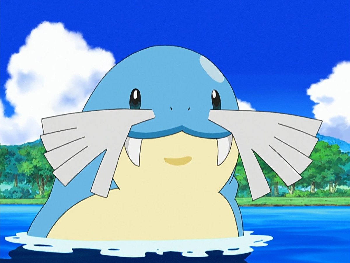 aquawott_'s tweet photo. It's Sealeo sunday! The weekend might be ending but the adventure is just beginning. https://t.co/LtSVsMAI3x