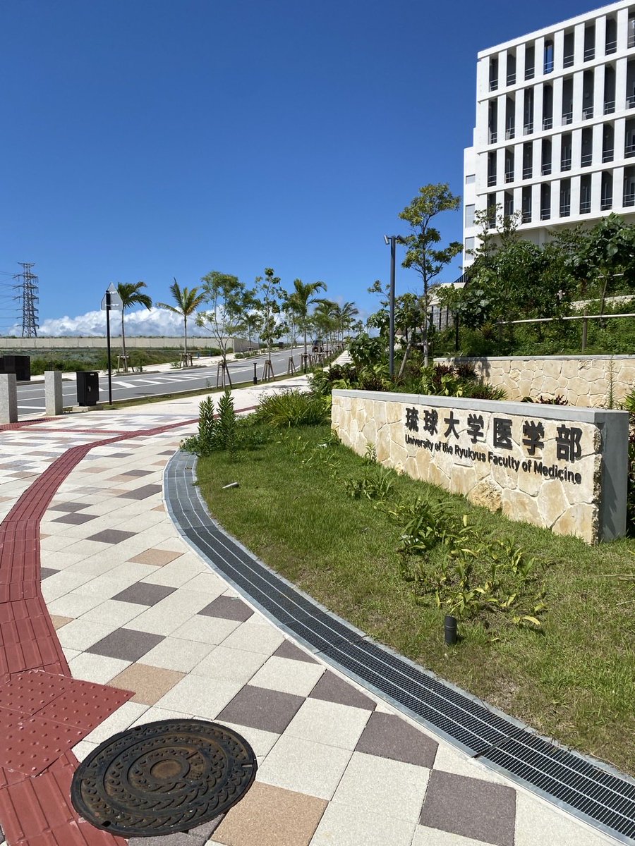 JMEDs_2025's tweet photo. 【医学部紹介シリーズ vol.15】

J-MEDsメンバーのリアルな学生生活を紹介する「医学部紹介シリーズ」、第15回は琉球大学です🏝️🌺

琉球大学に通うJ-MEDsメンバーに琉球大学の魅力や学生生活をインタビューしました🙌🏻

#JMEDs #医学部 #学士編入 #再受験 #琉球大学 https://t.co/tXKiULUcg9