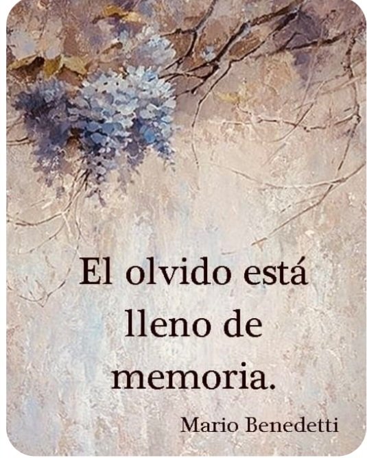 lyuva26's tweet photo. Verdad, verdadera...
#MaríaS https://t.co/kH2hiNaD6F